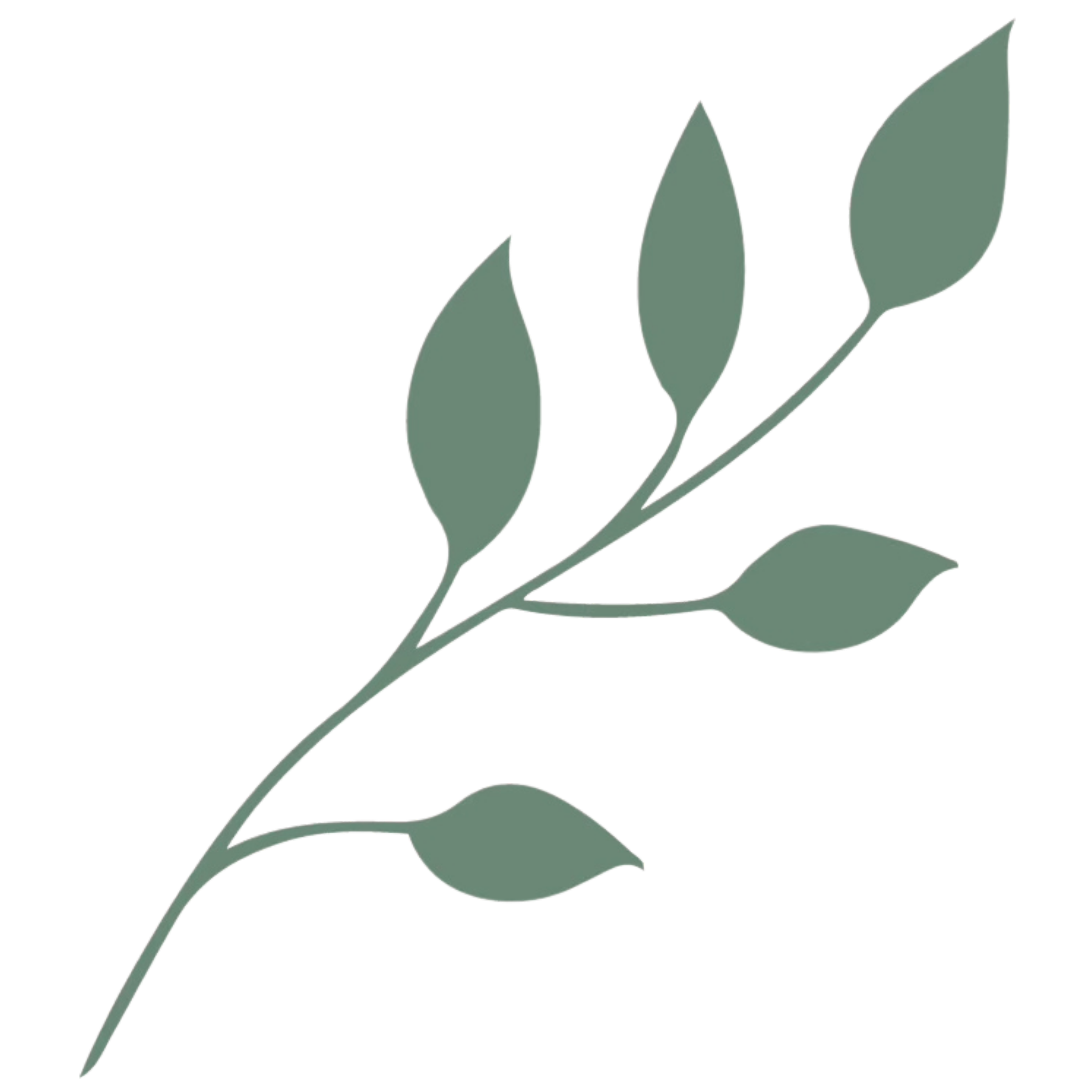 Bendavid leaf
